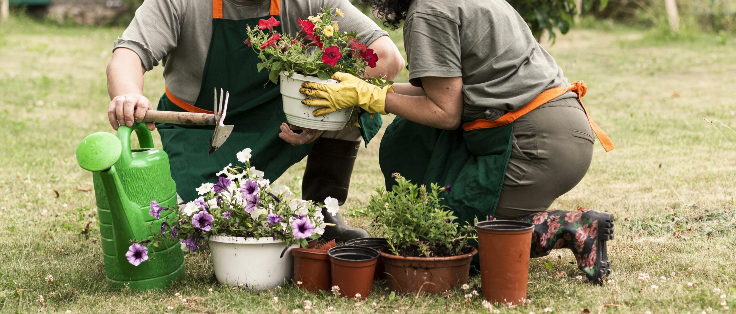 Équipez votre jardin